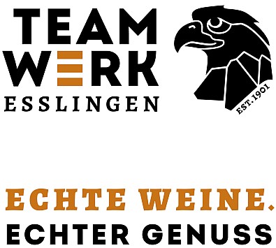 Logo TeamWerk
